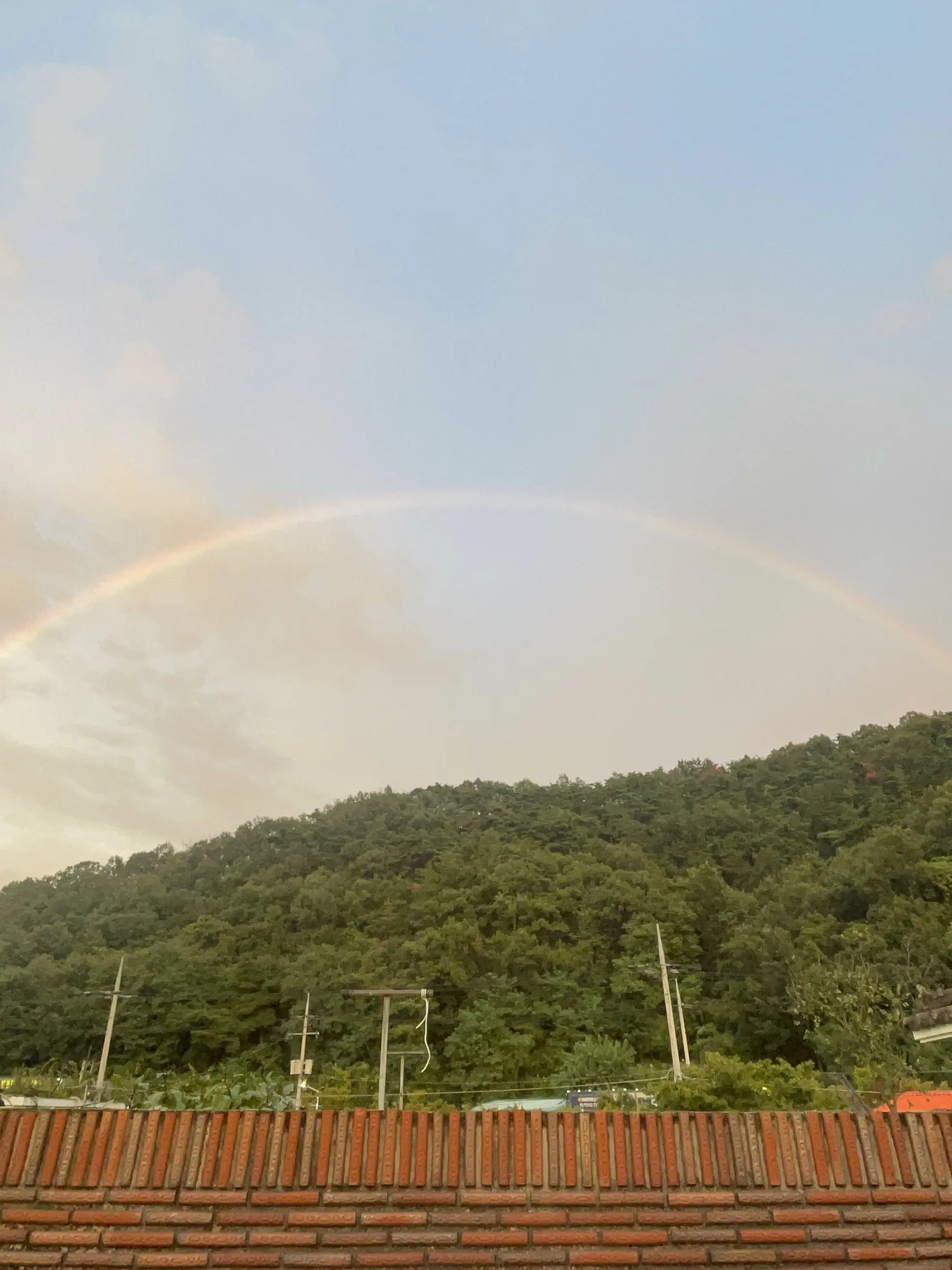 FluidEra2836의 꿈틀이만 하세요 (여우있음)