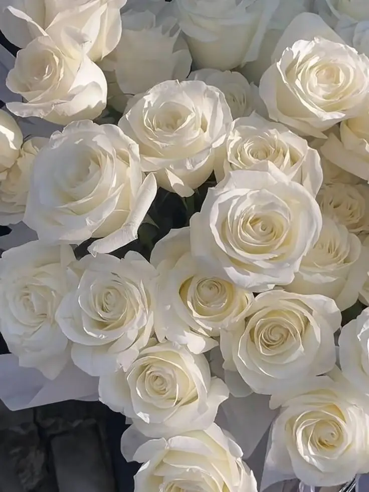 dpxnp의 원래도 어리던 애가 더 어려졌다?!