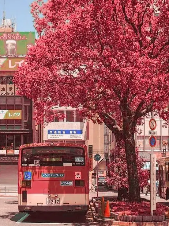 LeanerFez7723의 다파학 와라니🍬