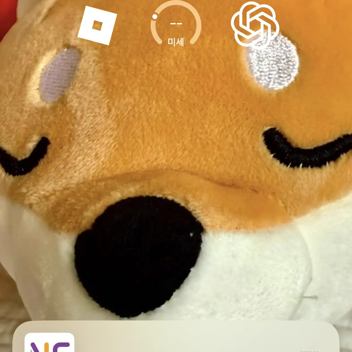 BoringRing8162의 뜰팁 서열 학교