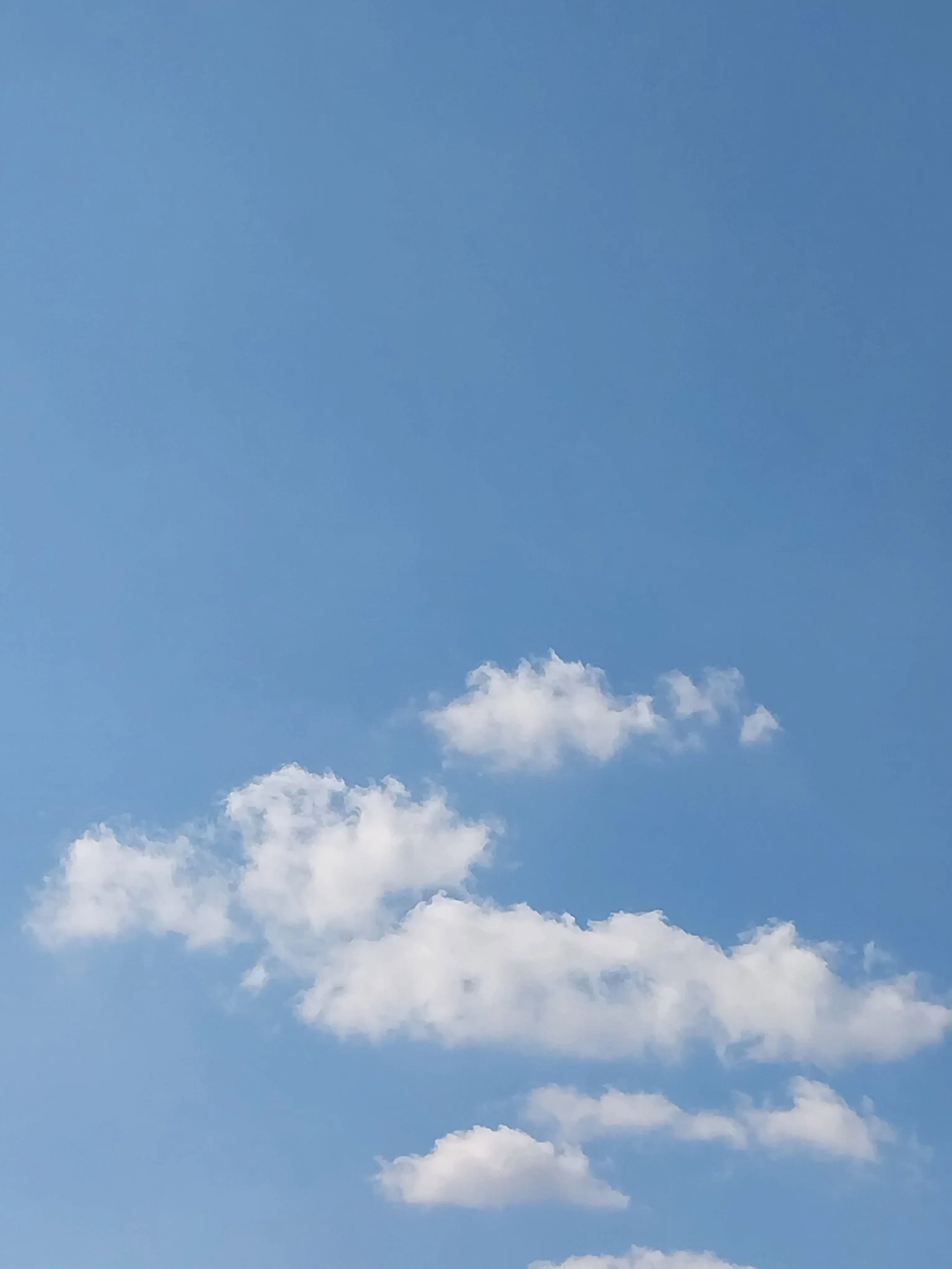 celi-lia의 당신은 존예!하지만 미수반 멤버+여우