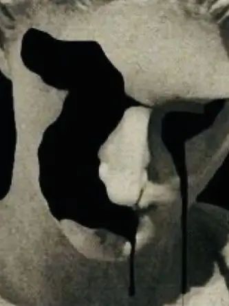 illdiebefor60의 모순