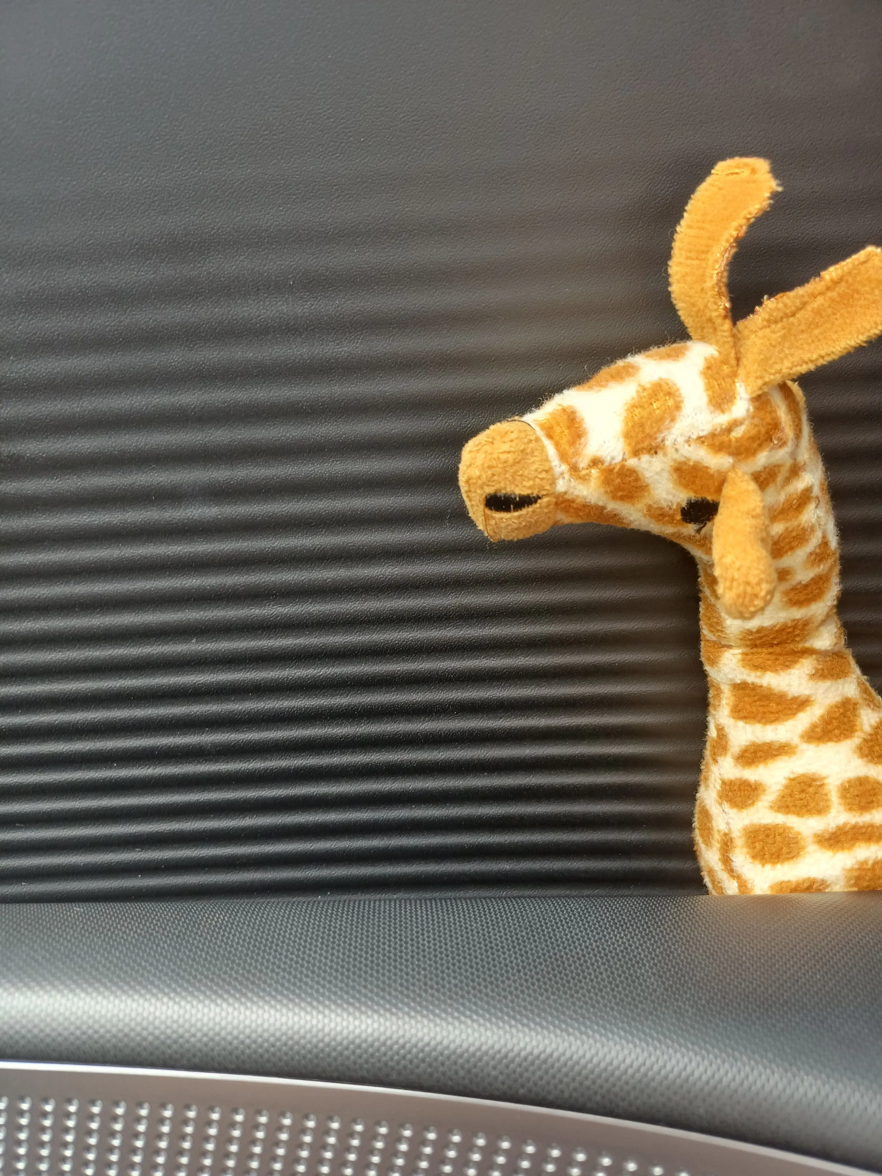 oiwatermelon66의 Rebellion Against the Giraffe King