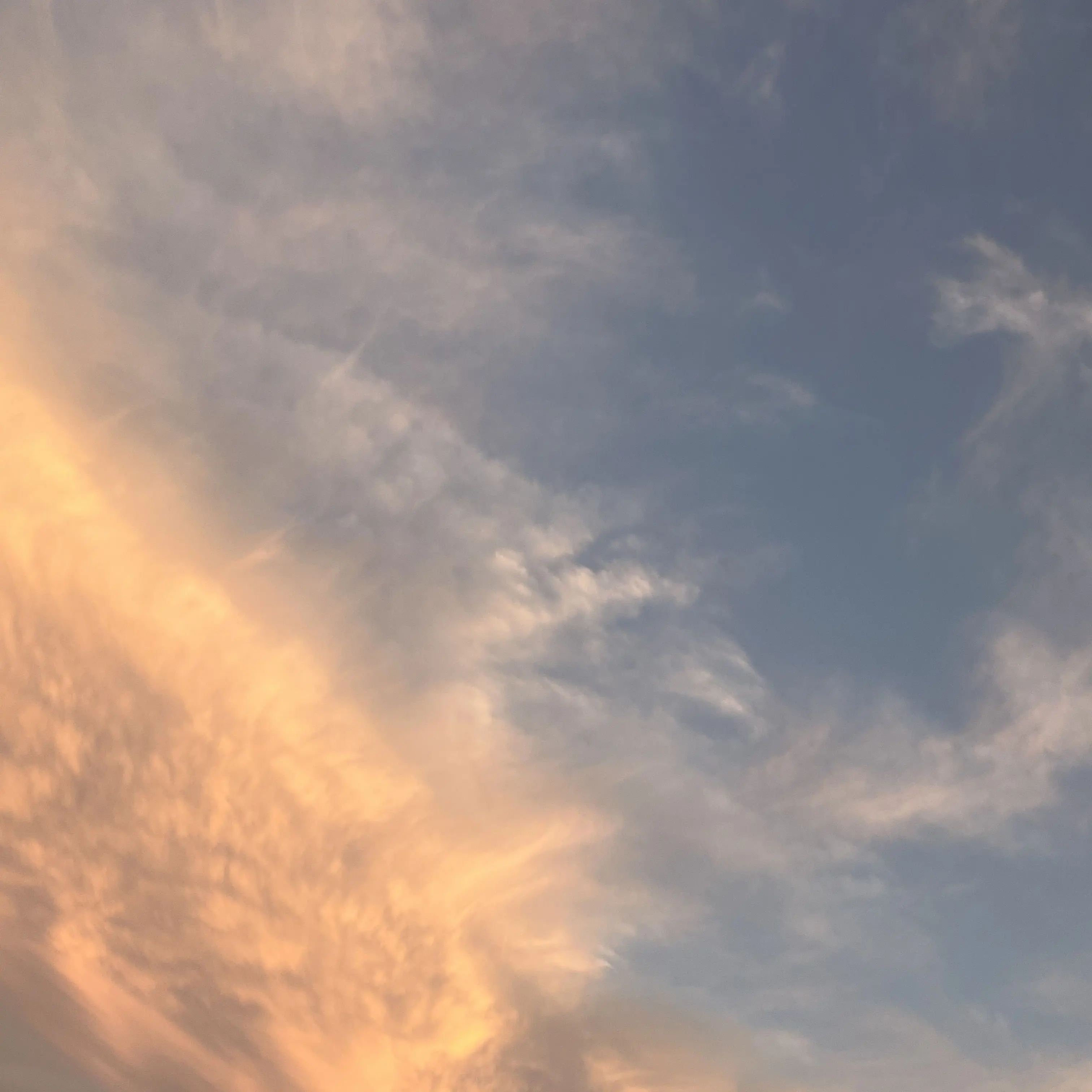 nana_omoti의 兄弟