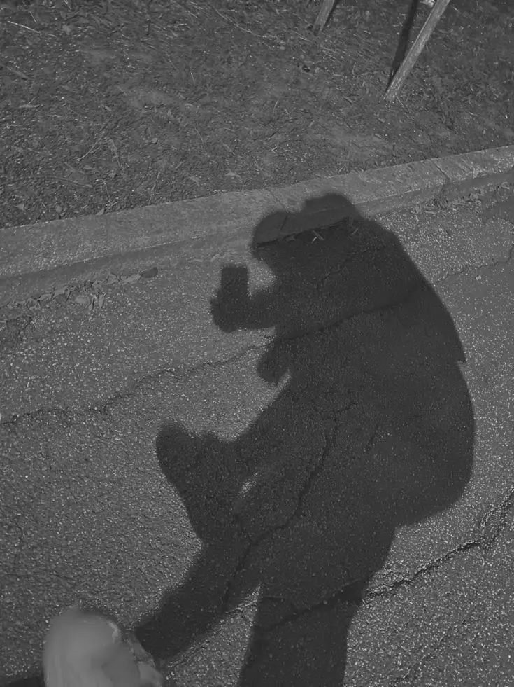 plant___0x0의 うるさくて愛らしい私だけの旦那さん。