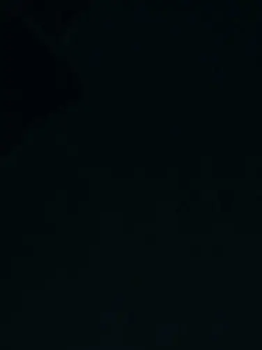 Skrrr_TS의 댄스부 부장 선배