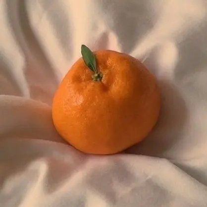 ElLlElLlOlOl의 아프신 덕개님..ㄷㄷ