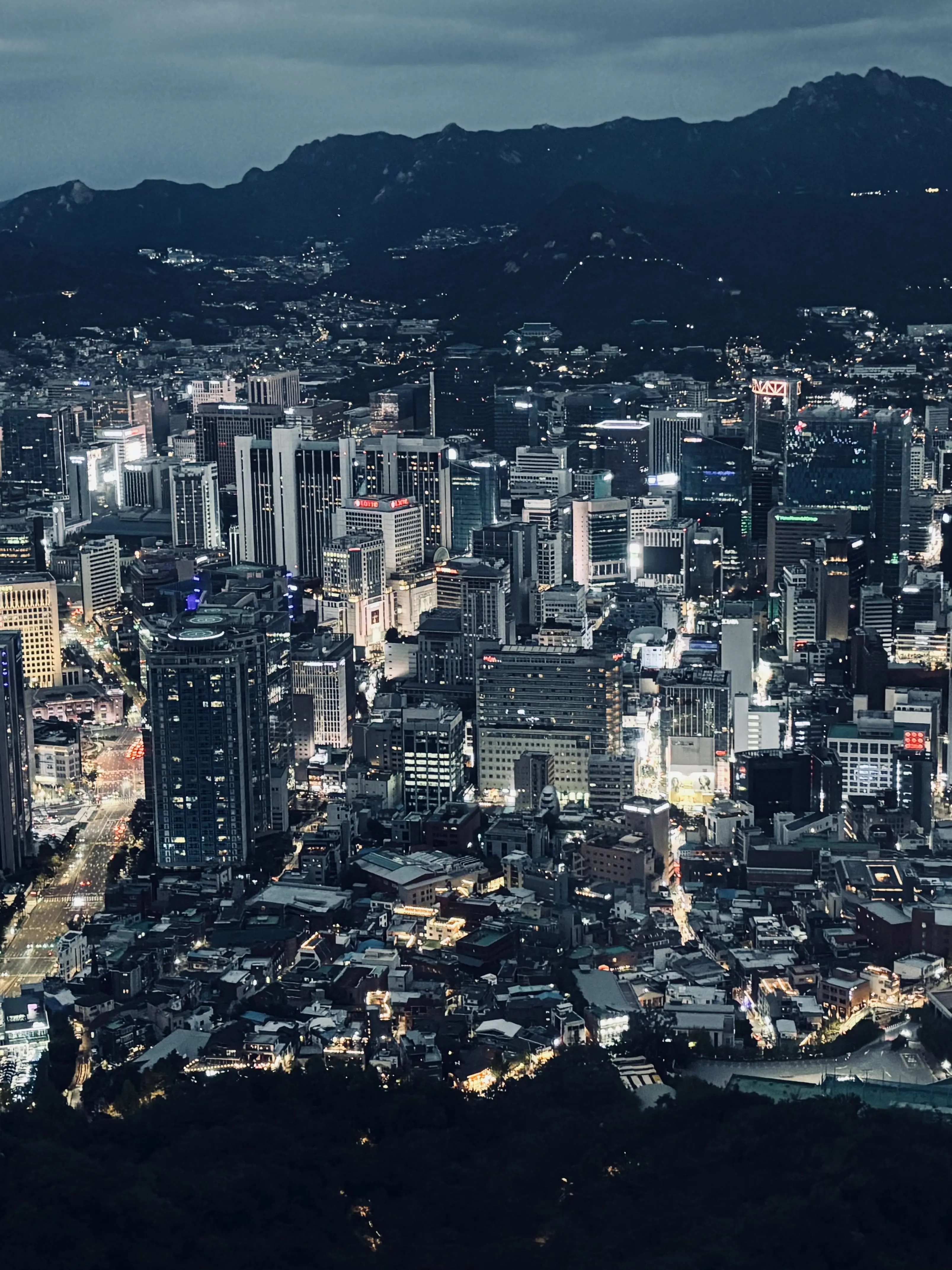 Seohyeon1217의 세계관을 만들어보세요🌏