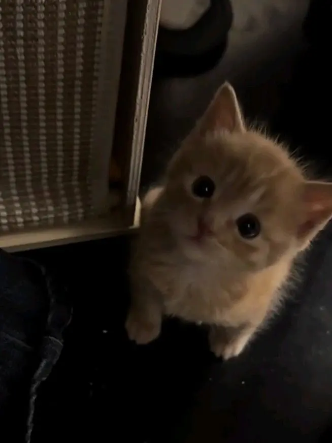 .....ux의 同じクラス