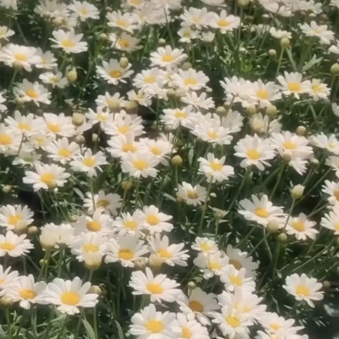 B1Gb4n6_486의 별의 터진 그날, 우리는 빅뱅이였다.