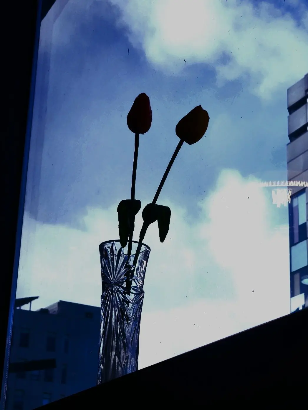 night_sky_wish의 1215