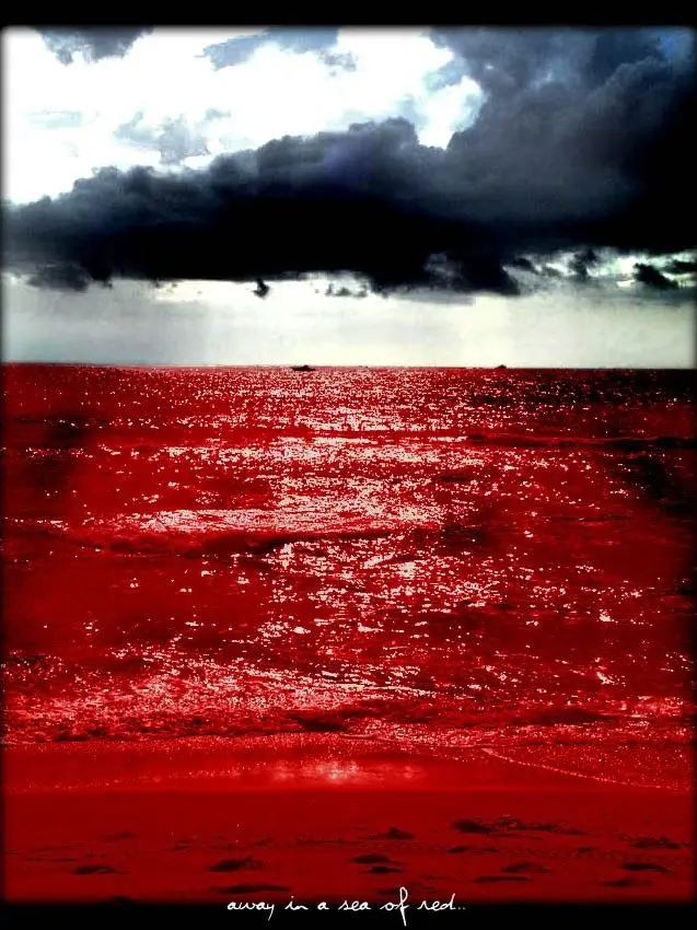 riann_TwoTime의 学校。