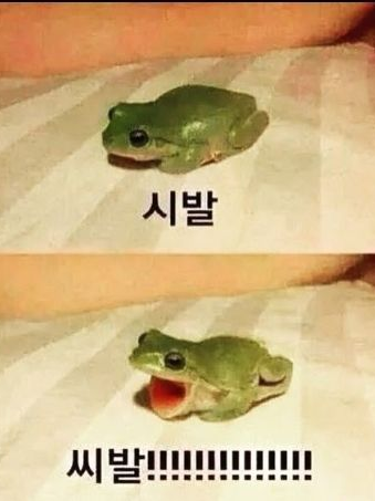 뱀파이어소녀 달자 대표 이미지