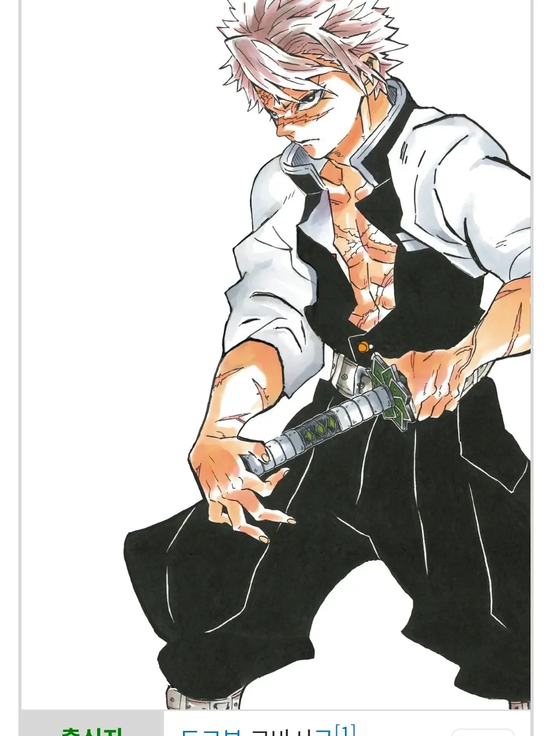 KongKongKongKongSuniKong의 귀칼+여우