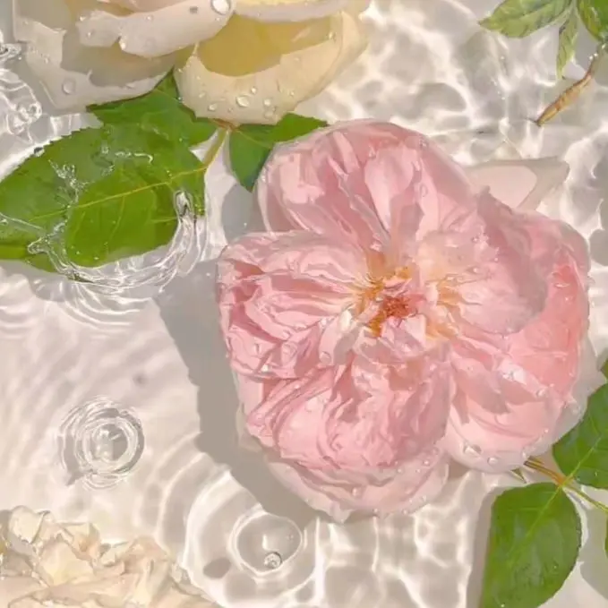 FaintHooks6063의 밴드부 남녀무리