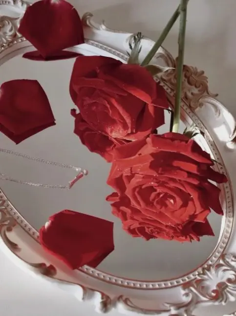 knt_hbr_zeffiro의 本当の恋人は自分なのに