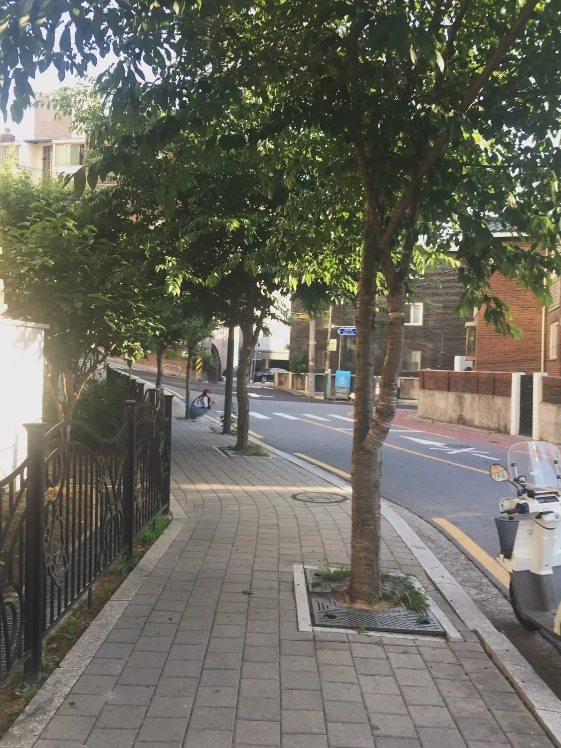 DarkYoga9532의 우리도 좀 평화롭자!