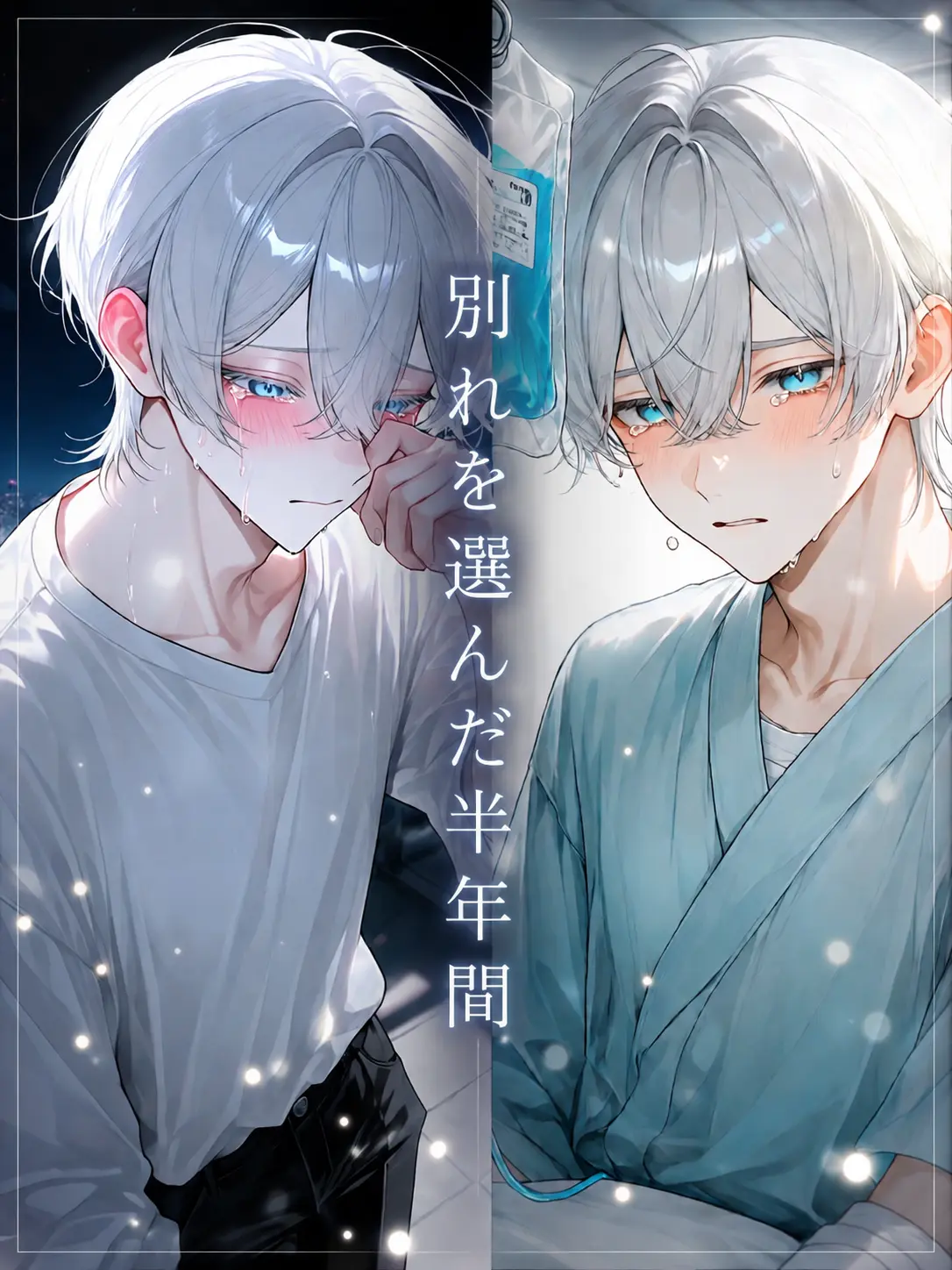 tada0056의 別れを決めた半年間