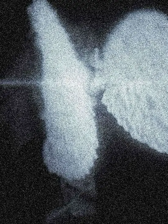 2.02의 ㅤㅤ