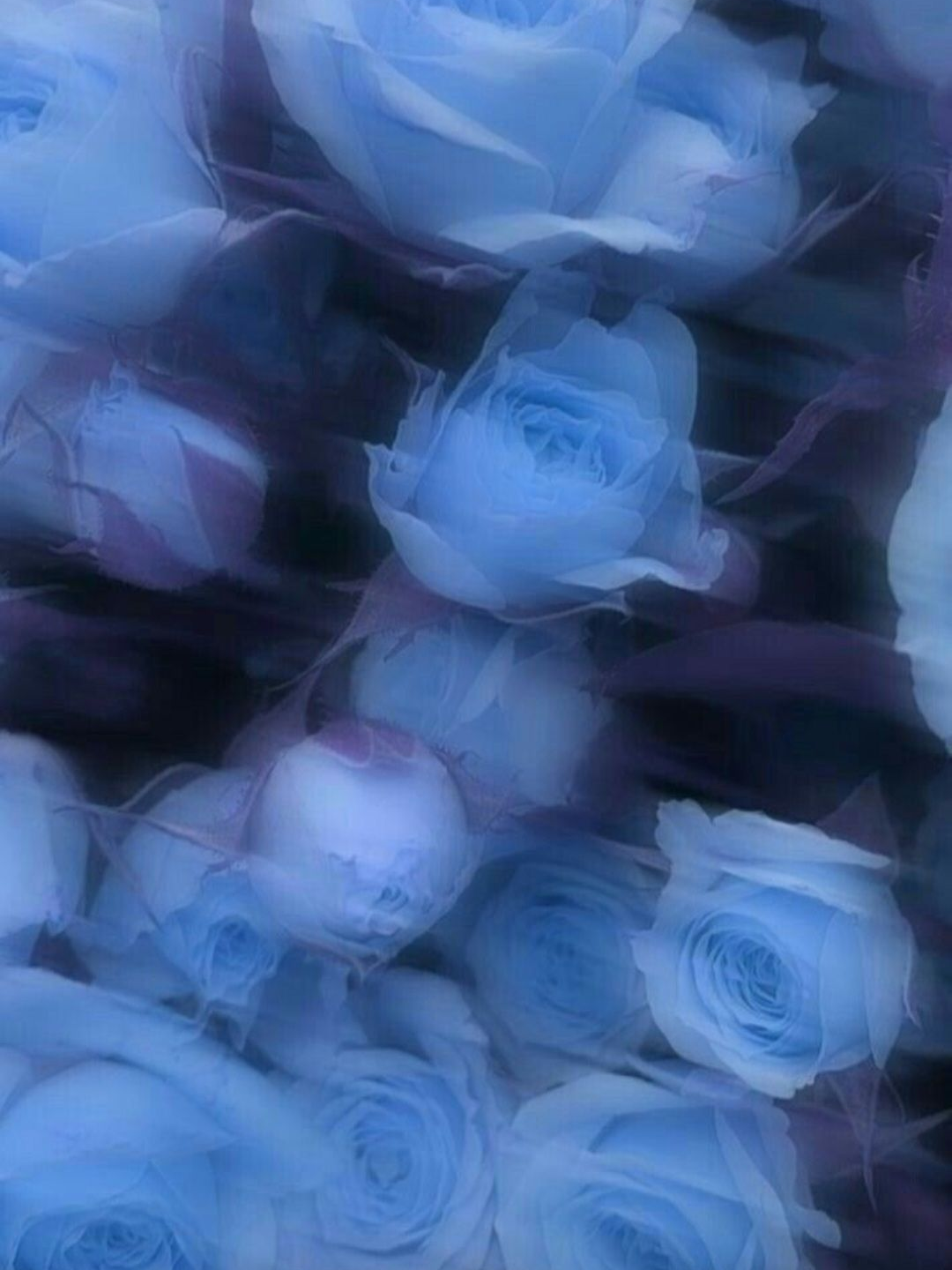 조셉(1) 대표 이미지