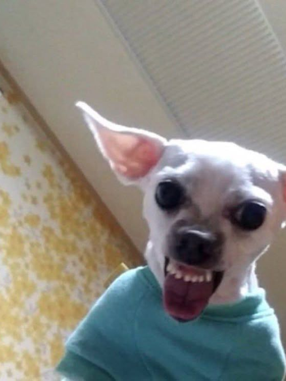 . 대표 이미지