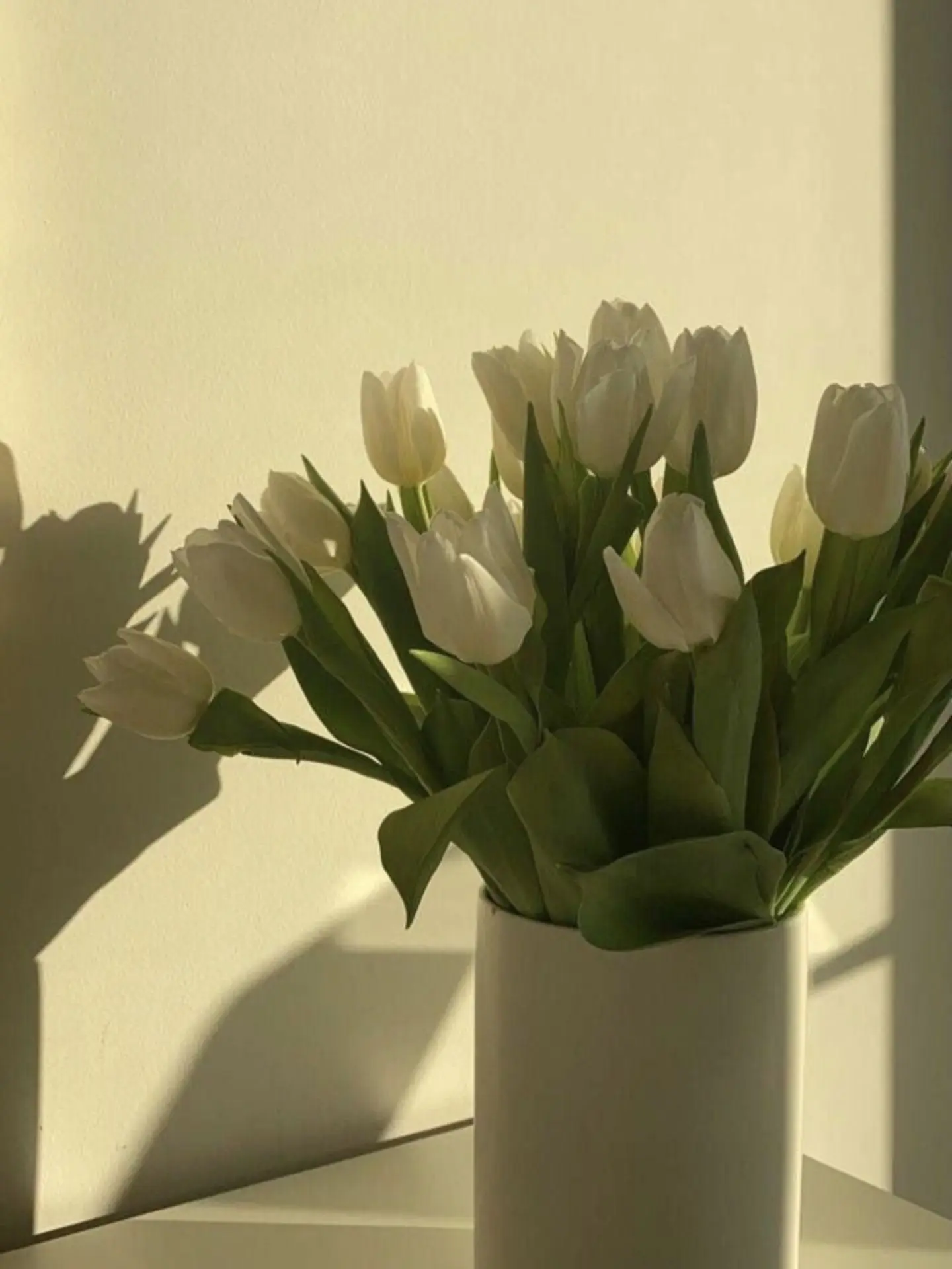 NoisyWolf9978의 {패러다이스} - [술]