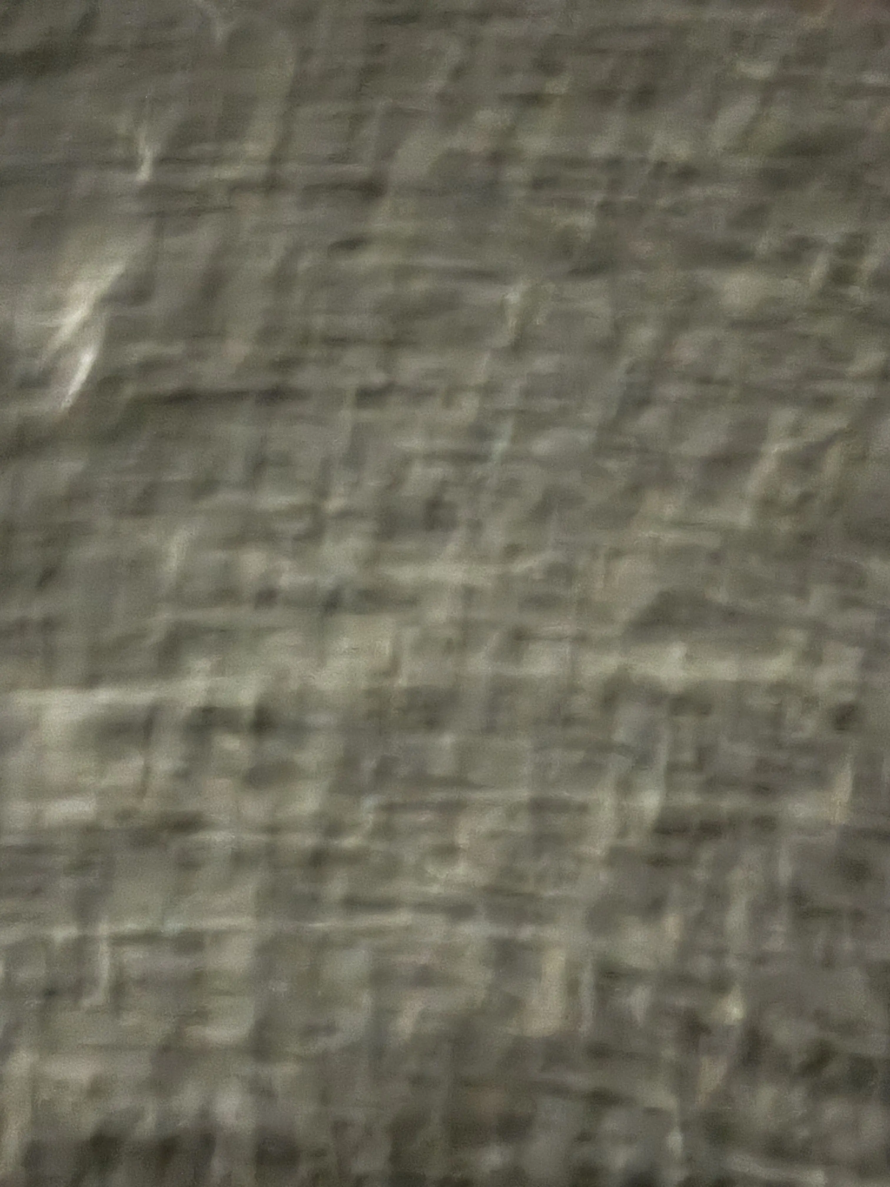 ZestyPotoo9947의 ㅂㅅㅎ