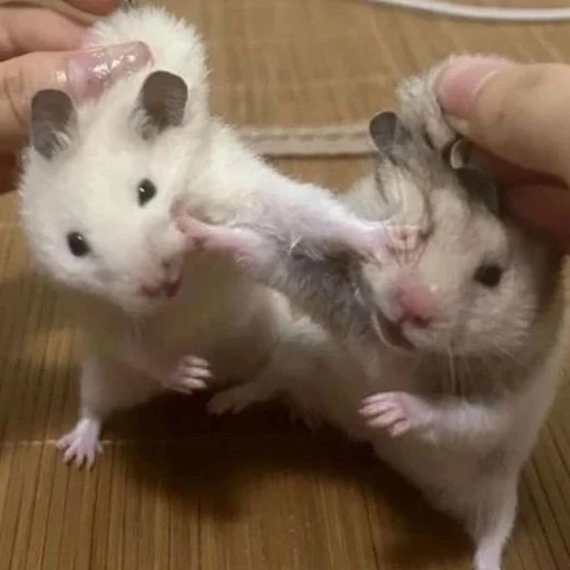 하루토(전화데이트편)