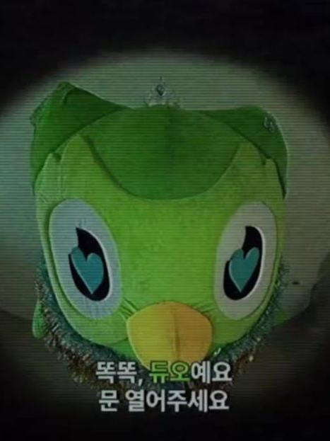 듀오링고 대표 이미지