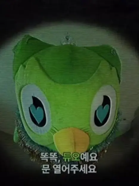 FatDingo3928의 듀오링고
