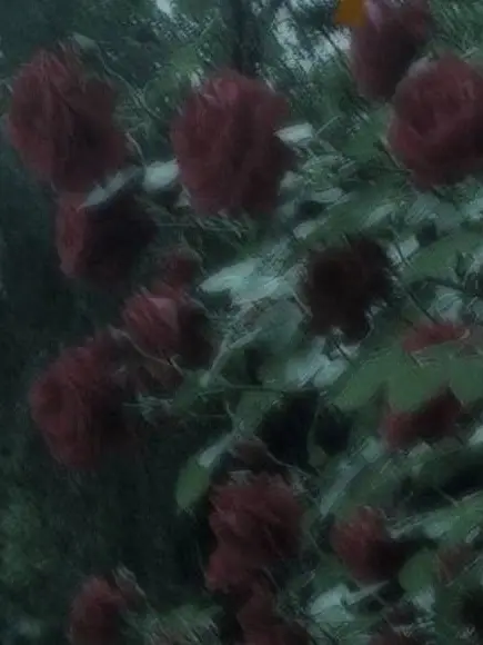 _LeeeZaurus의 救 い の 手 は 貴 方 に  ＿ ♡