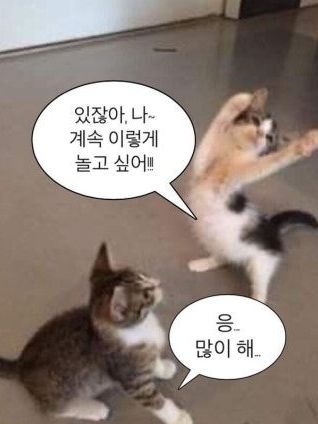 고프,팀나빠  수학여행!! 대표 이미지