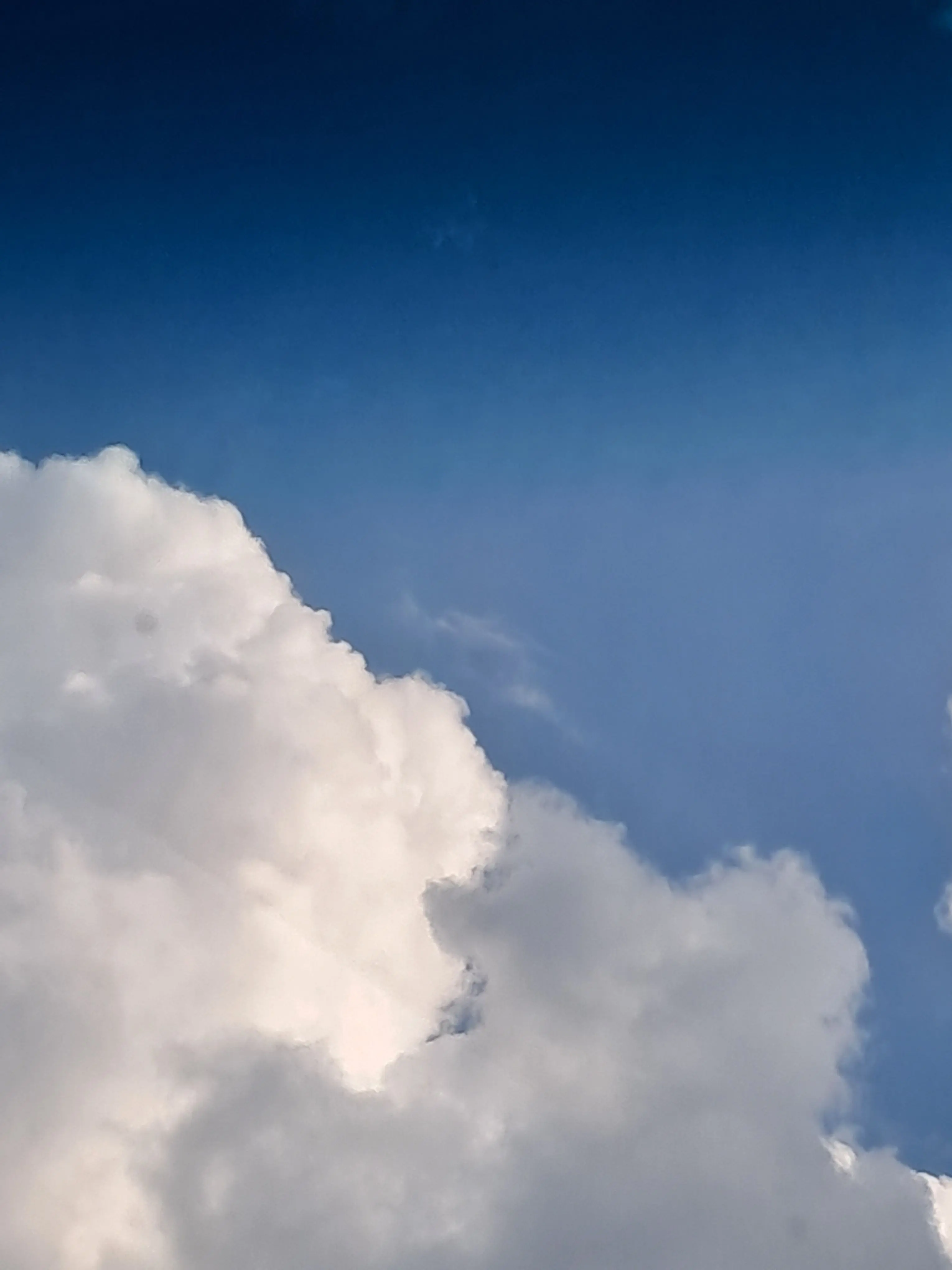 SweetSugarCream의 당신이 갑자기 오비스트 1등이 됬다.