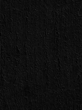 BitterZokor8050의 ㅈㅎㄱㅈ