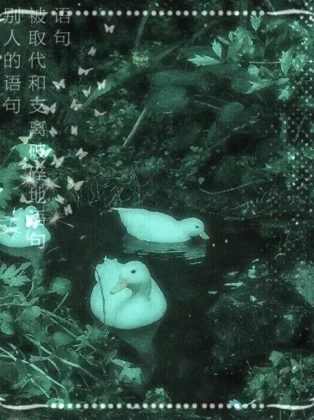 C3L3ST의 ⨳NIKO—BL⨳