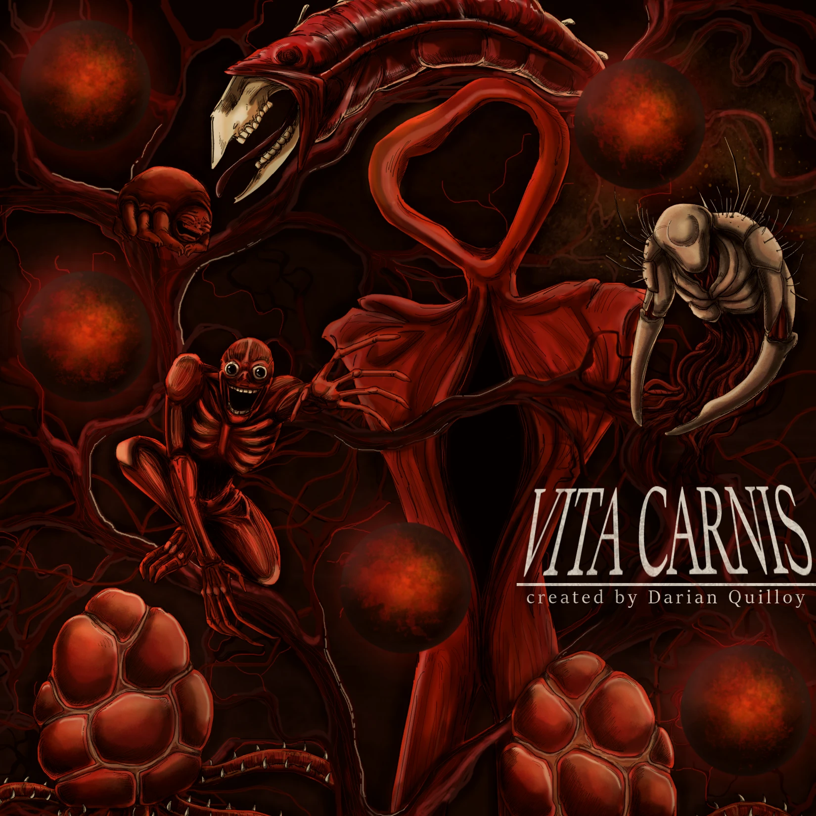 비타 카니스(Vita Carnix)