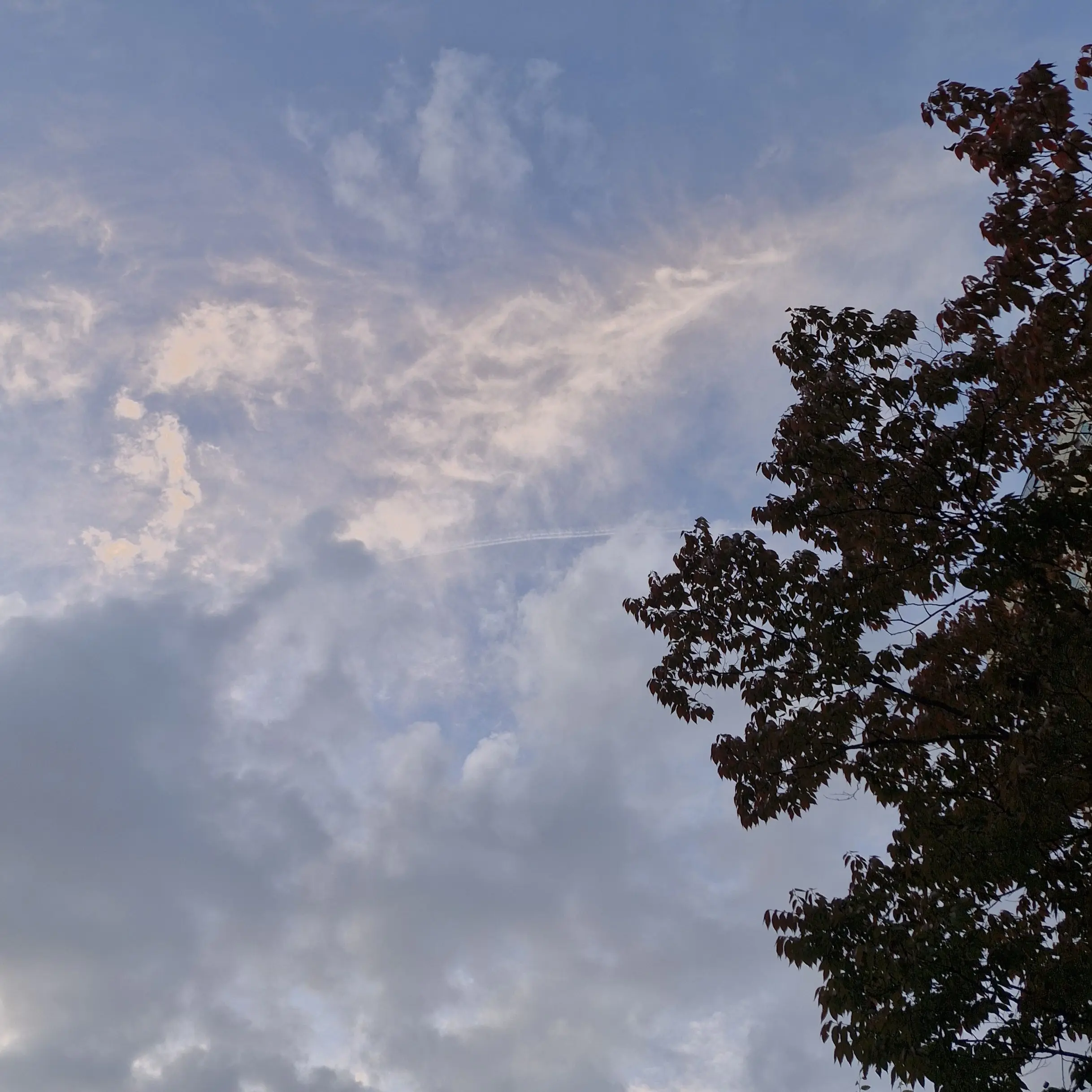 igotsomesprunki의 뜰팁과 99일 여정