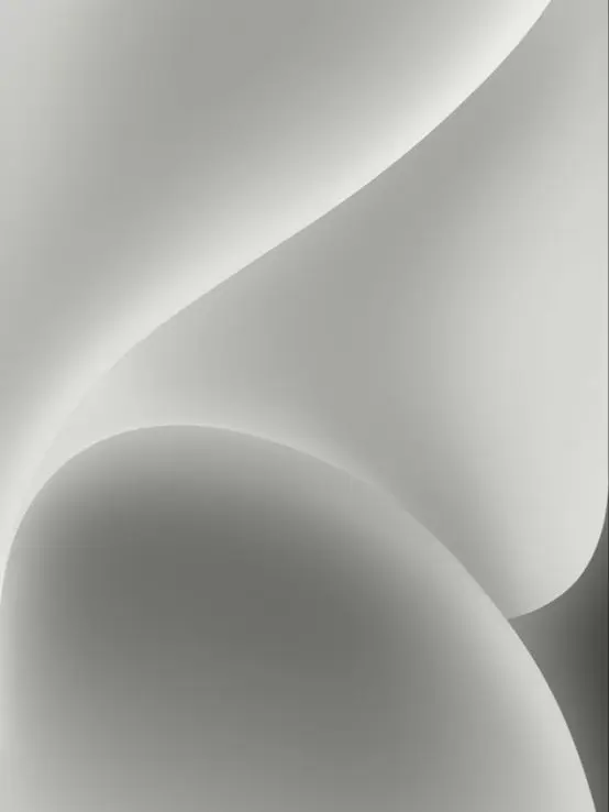 S.ieee의 남녀무리