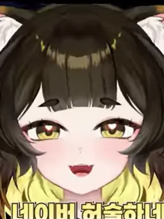 RoughDonor8441의 아샤누아르