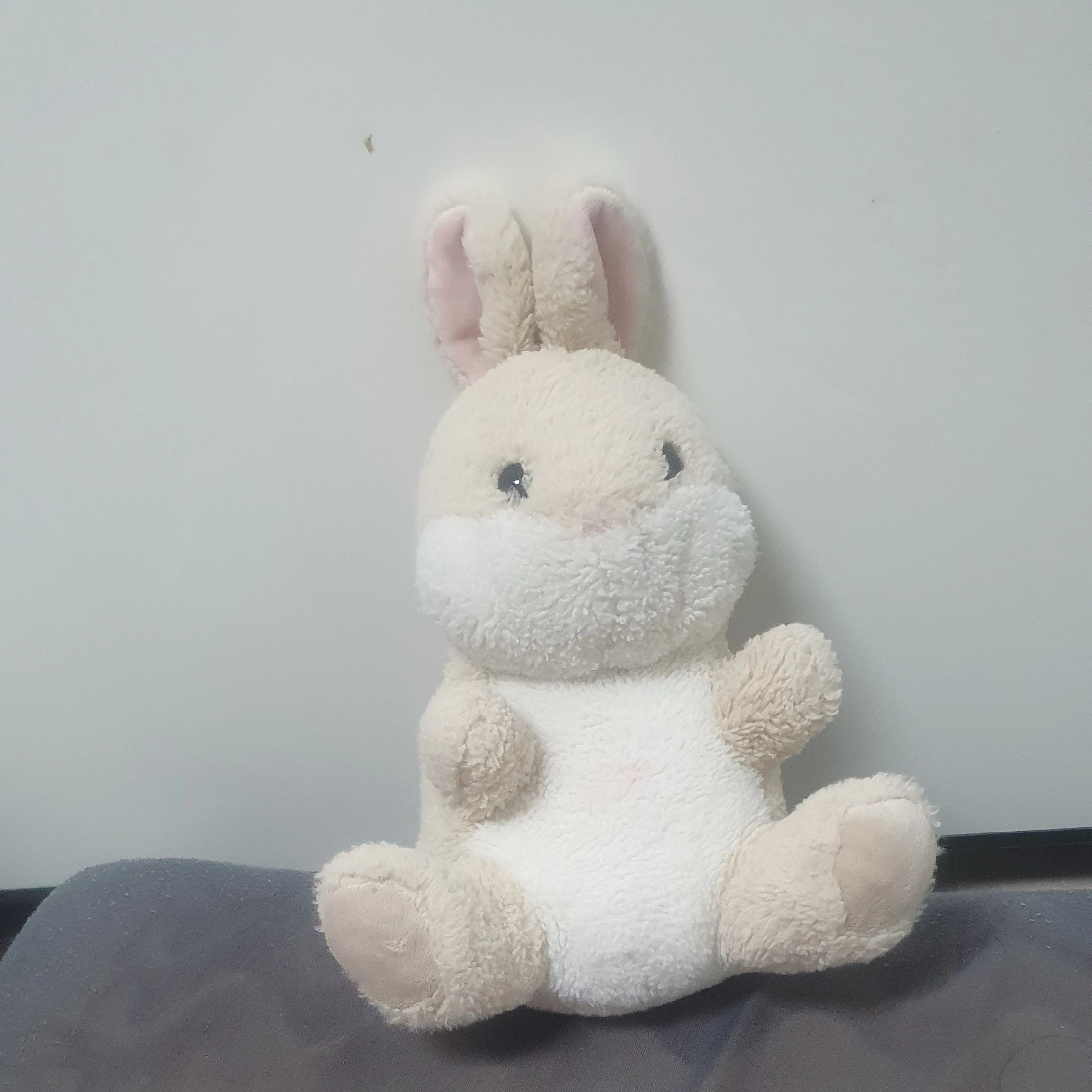 인형에갇혀버린 토실이
