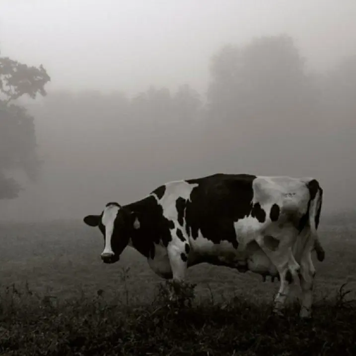 FinalToe-7842의 오유진