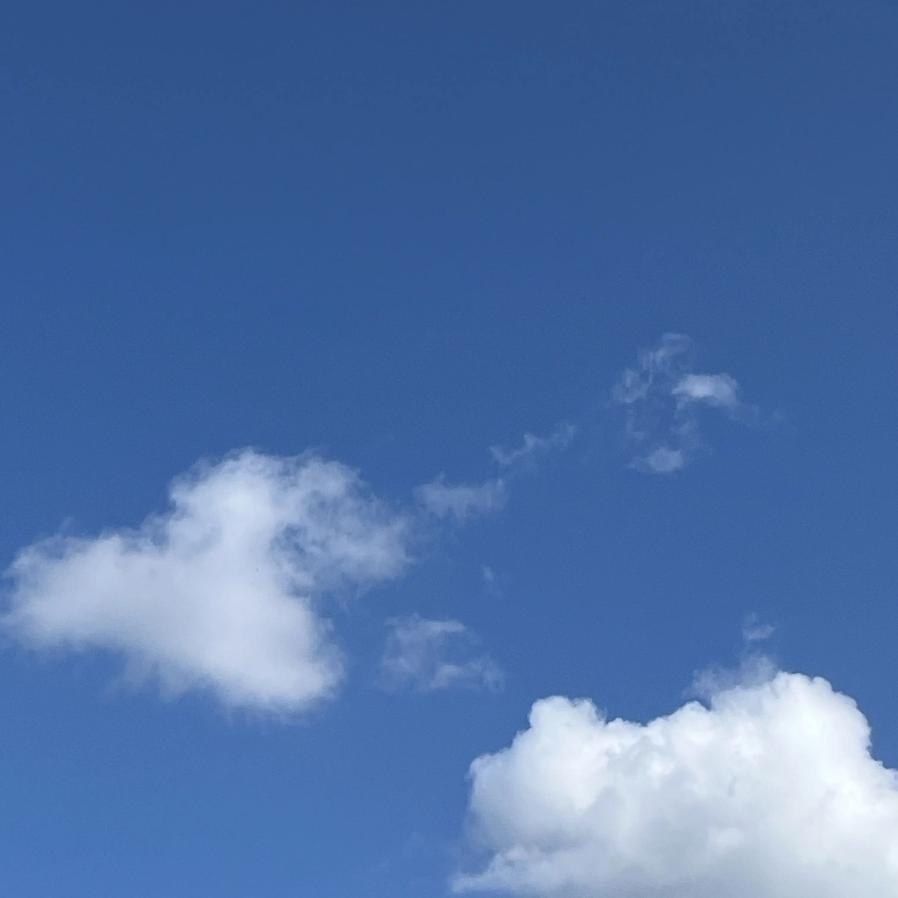 ProudZebu5498의 무이치로메복(친구님과 저의 사심^^)