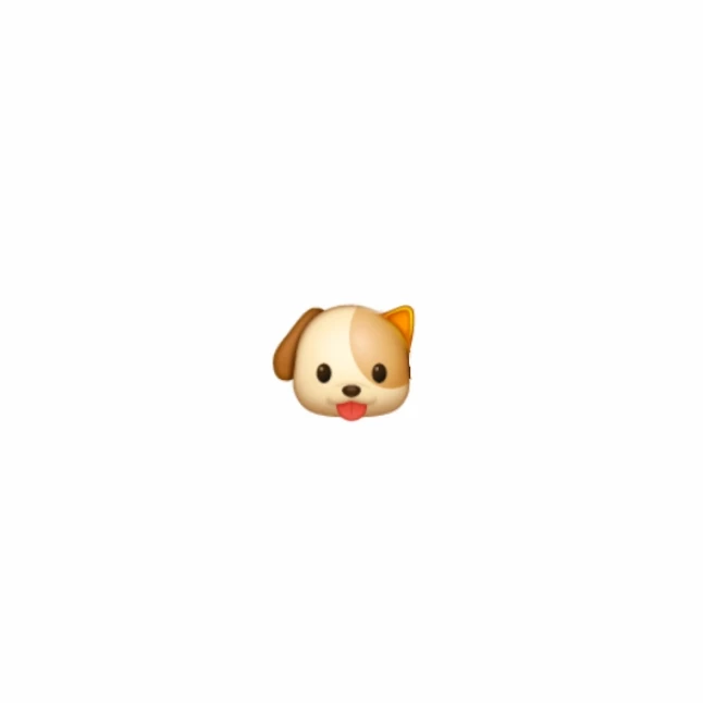 정상현