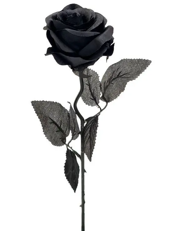 Spit91905224wtetf의 ㅈㅂ