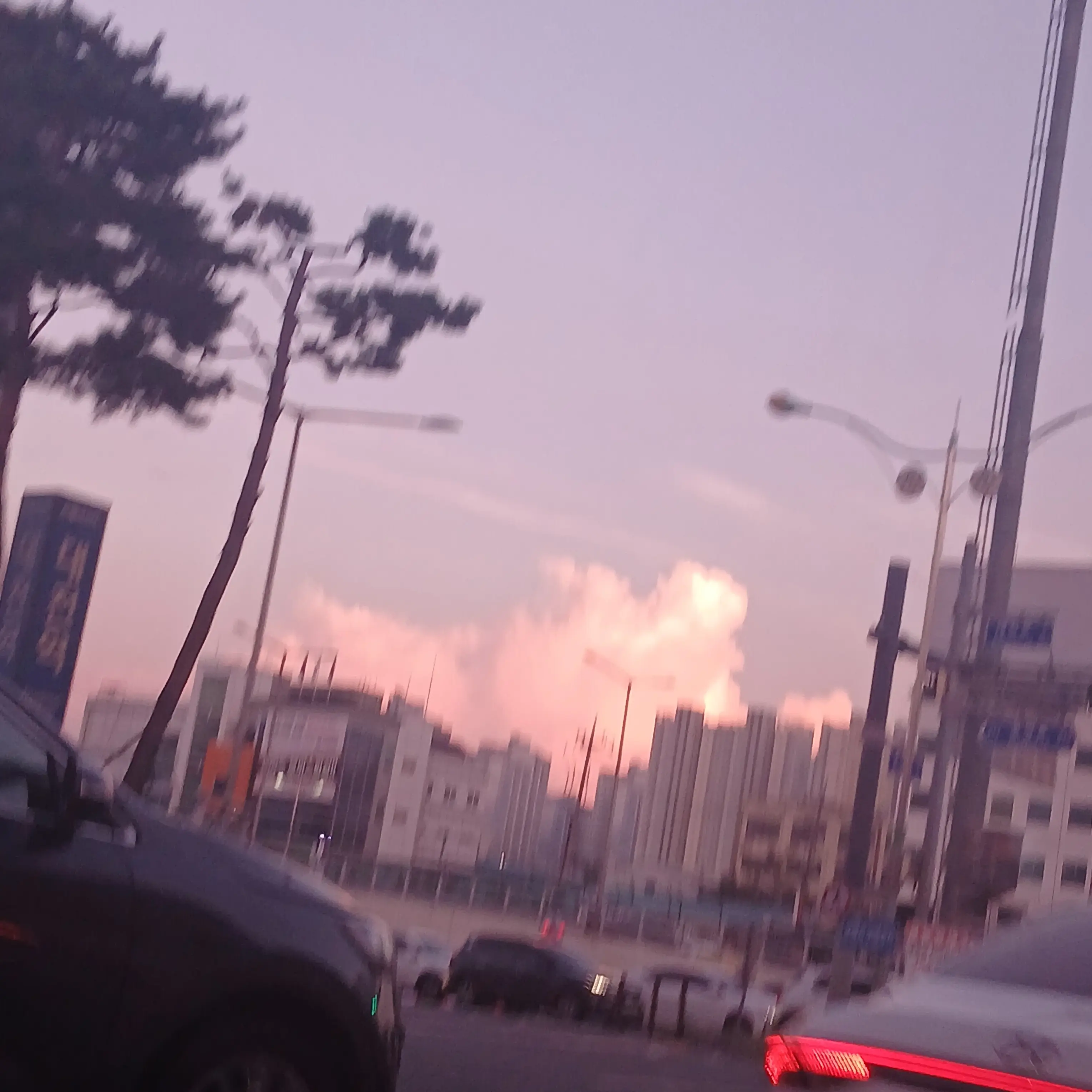 RiskyBus8246의 현실볼펜