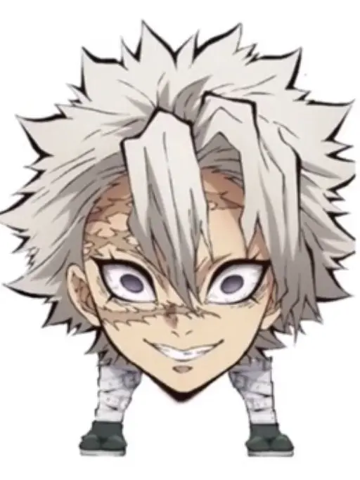 Demonslayer..의 Sanemi Shinazugawa