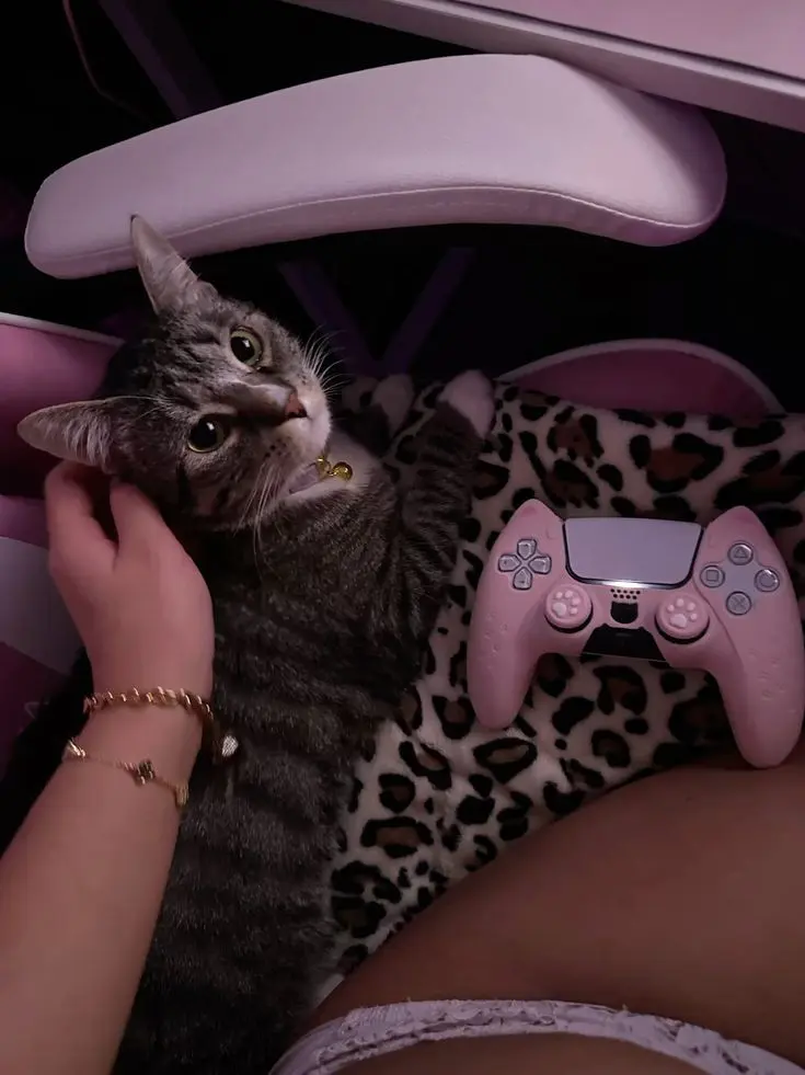 Elizaofrivia의 Gamer girl gf