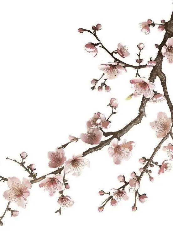 muging_88의 삼도 춘천야