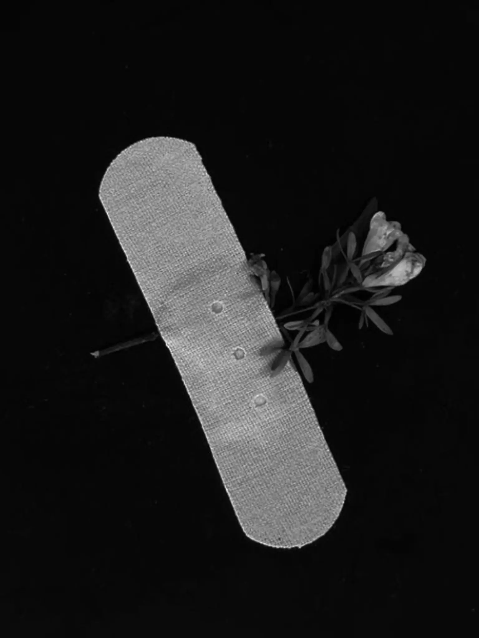 Ruel_SainT의 김민재