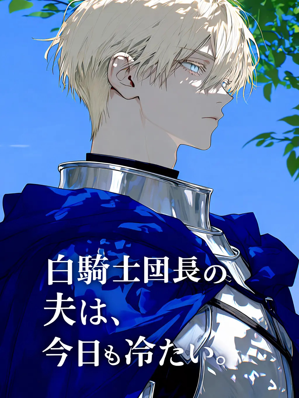hisana.00의 白騎士団長の夫は、今日も冷たい。